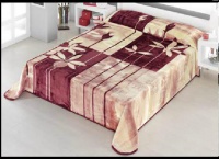 464 A Çift Kişilik Vizon Battaniye