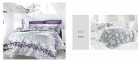 Violetta & Rosy1 1600X730