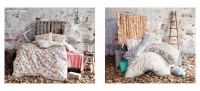 Wild Flowe & Cazelle1 1600X730